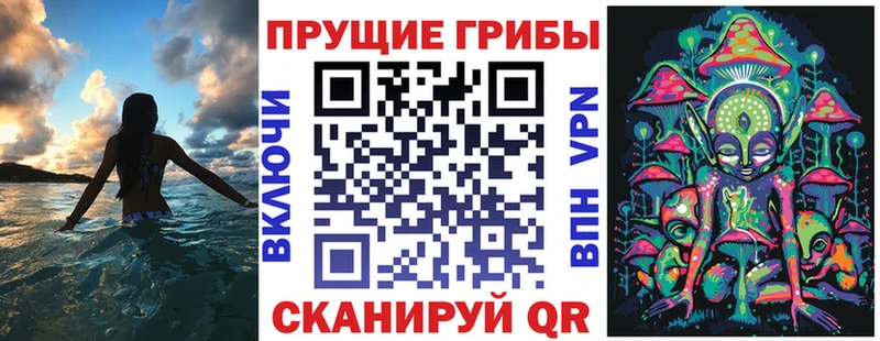 где купить наркоту  Сортавала  Псилоцибиновые грибы MAGIC MUSHROOMS 